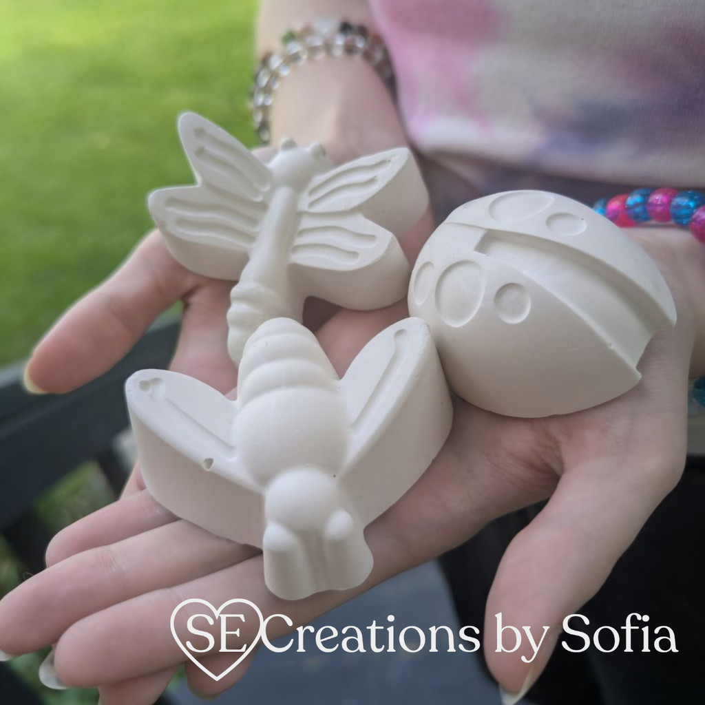 INSECTS: BEE 🐝 LADYBUG 🐞  & DRAGONFLY Plaster Paint Kit 🦖